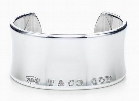 Tiffany&Co Bracelets 109